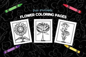 Three black and white flower coloring pages featuring a sunflower, a rose, and daisies, set against a black floral pattern background with scattered crayons in green, pink, purple, and yellow.