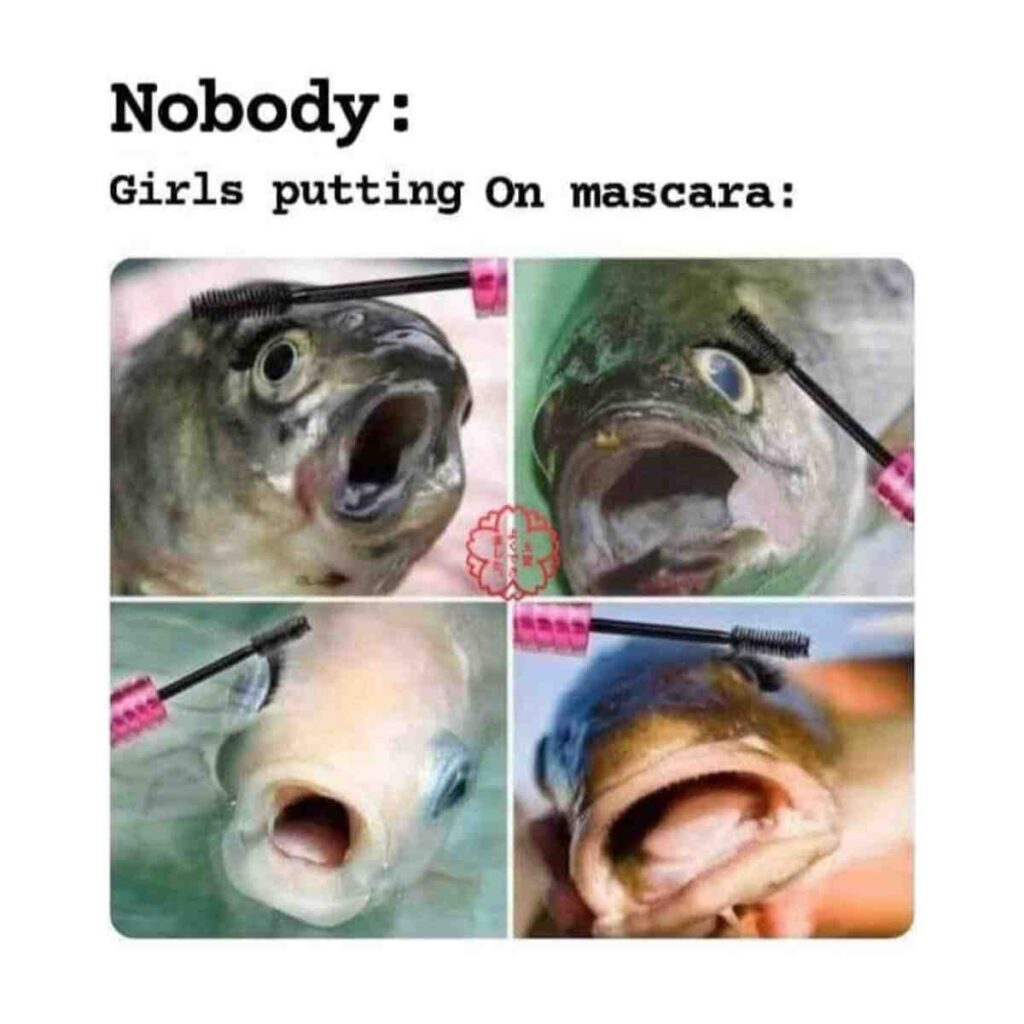 girls putting on masacara meme Four images of fish with open mouths positioned as if mascara is being applied to their eyes, accompanied by text saying 'Nobody: Girls putting on mascara:'