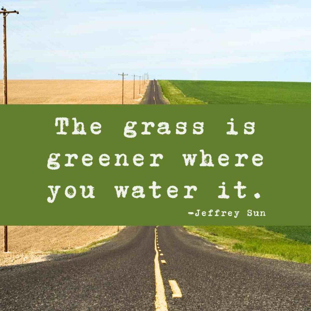 grass is greener quote A long road stretches into the distance, with brown dry land on one side and lush green grass on the other, overlaid with the quote 'The grass is greener where you water it.' by Jeffrey Sun.