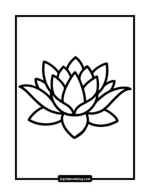 Black and white outline drawing of a lotus flower within a rectangular frame.