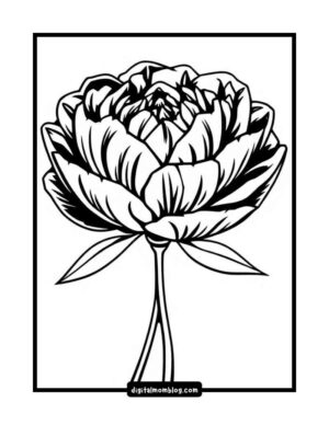 Black and white line drawing of a blooming flower with intricate petal details and two leaves on a stem, enclosed in a rectangular border.