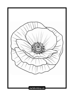 Line drawing of a poppy flower with detailed petals and a prominent pistil, enclosed within a rectangular border.