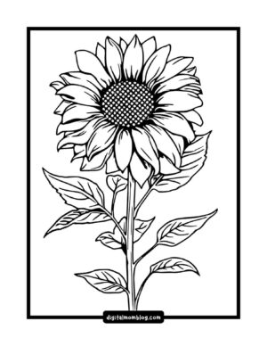 Black and white illustration of a sunflower with detailed petals and leaves within a rectangular frame.
