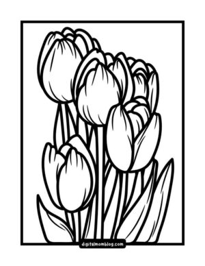 Outlined drawing of a bouquet of tulips within a rectangular frame, featuring several closed and partially open flowers with long stems and leaves.