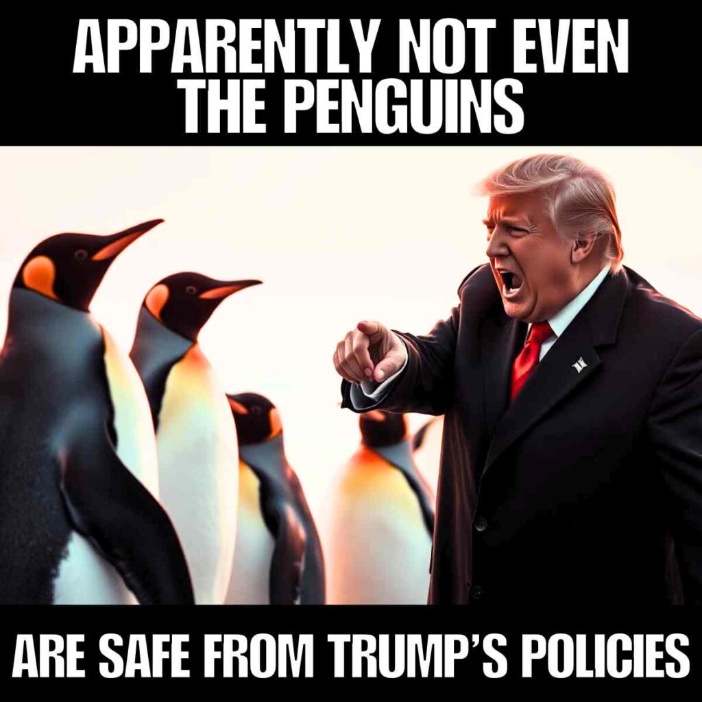 donald trump penguins meme A digitally altered image showing a man pointing and talking to a group of penguins, with the text "Apparently not even the penguins are safe from Trump's policies" above and below the scene.