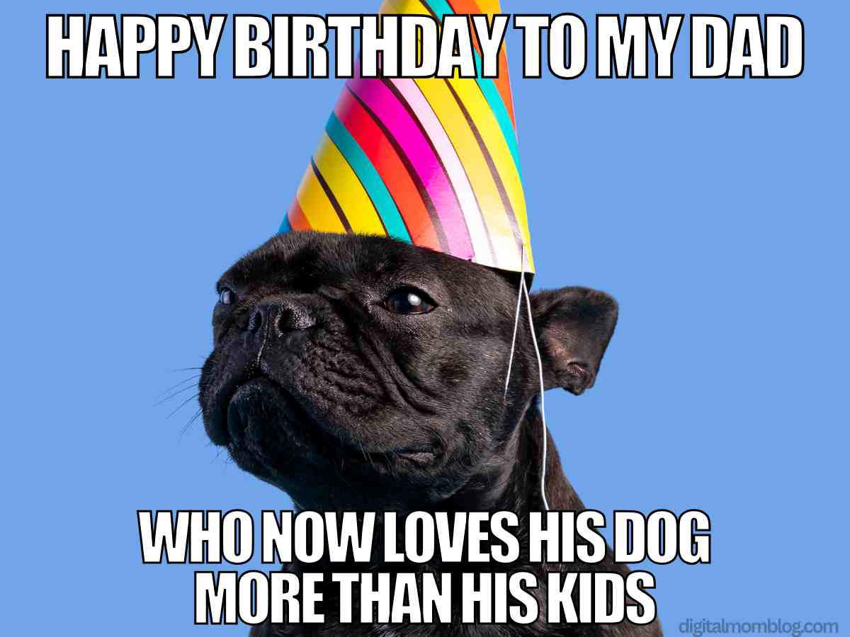 birthday dad meme dog Funny dad birthday meme with black pug wearing rainbow party hat, text says Happy birthday to my dad who now loves his dog more than his kids