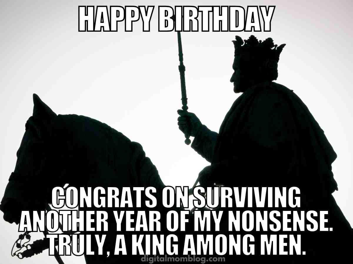 Funny birthday meme for boyfriend – Congrats on surviving another year of my nonsense, silhouette of a king on horseback