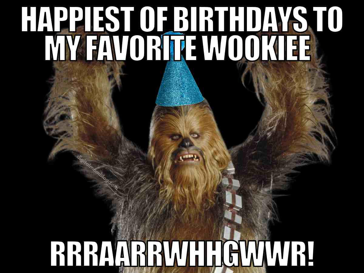Chewbacca birthday meme for guys with a party hat and the caption Happiest of birthdays to my favorite Wookiee
