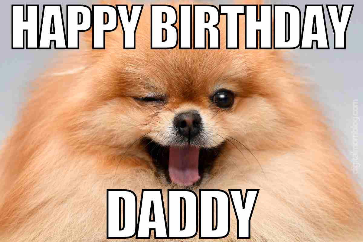 dad birthday meme daddy Cute happy birthday daddy meme with fluffy Pomeranian dog winking, text says Happy Birthday Daddy