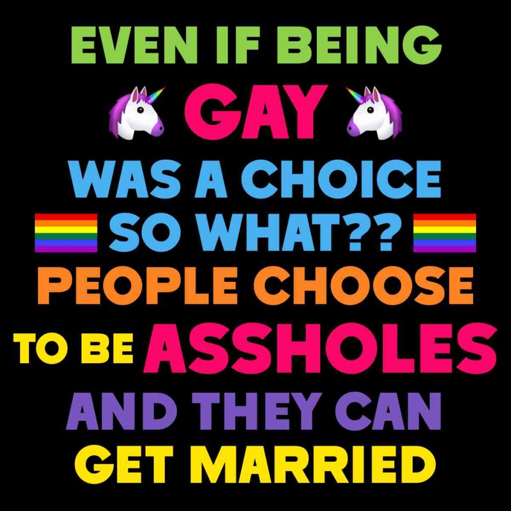 funny ally meme Colorful meme on a black background saying "Even if being gay was a choice, so what?? People choose to be assholes and they can get married," with unicorn and rainbow emojis.
