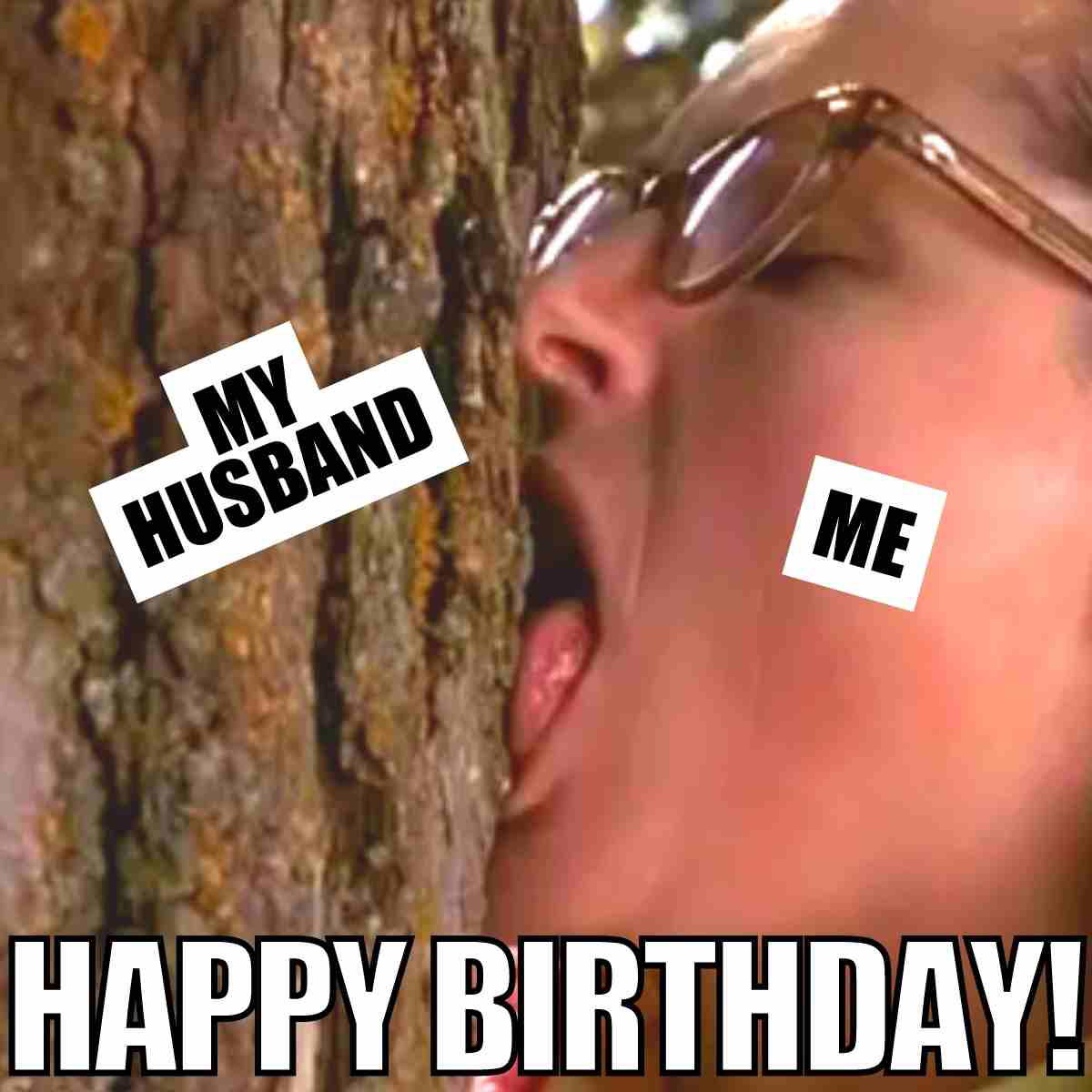 Funny husband birthday meme showing a woman licking a tree labeled My Husband with the caption Happy Birthday