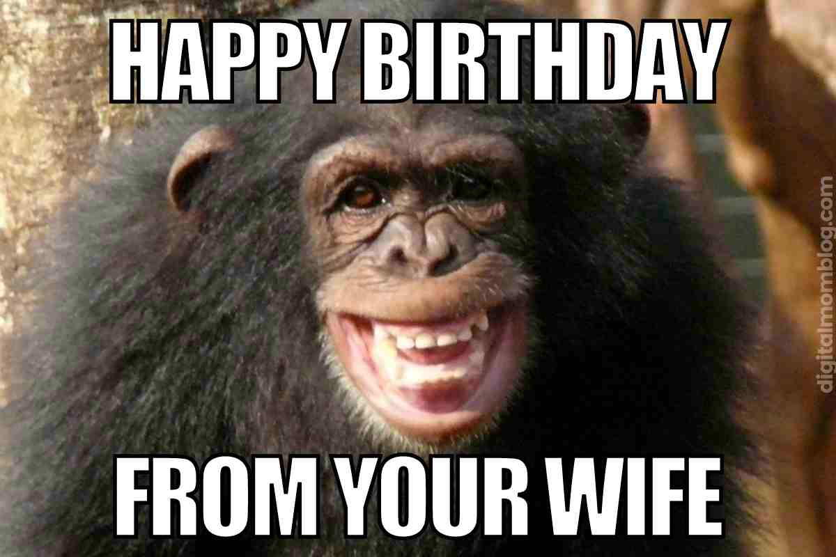 Silly birthday meme for him from wife featuring a smiling chimpanzee with the caption Happy Birthday from your wife