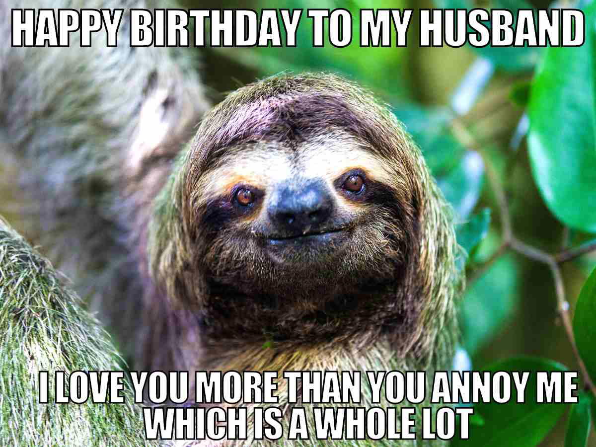 Funny birthday meme to my husband with a smiling sloth and the caption I love you more than you annoy me which is a whole lot