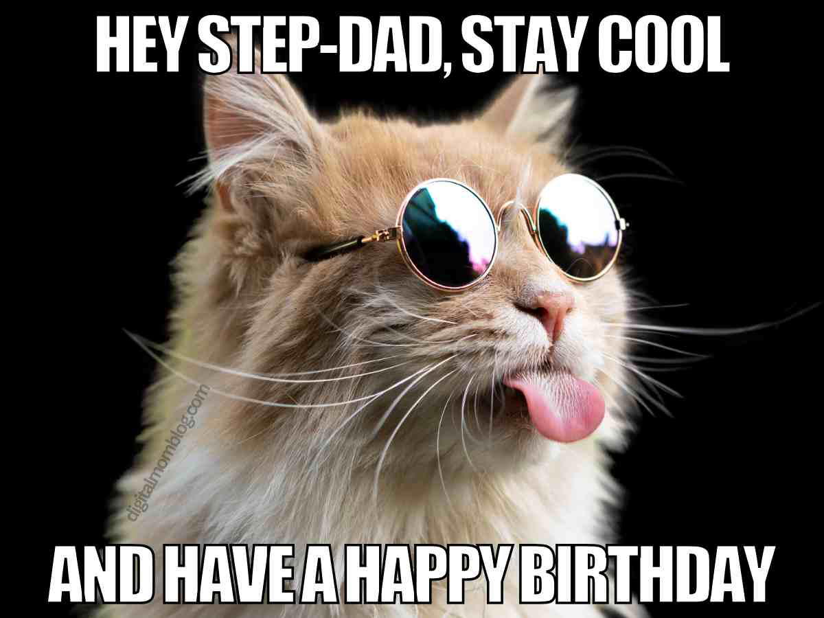happy birthday step dad meme Funny happy birthday step dad meme with cool cat wearing sunglasses and sticking out tongue, text says Hey Step-Dad, Stay Cool and Have a Happy Birthday