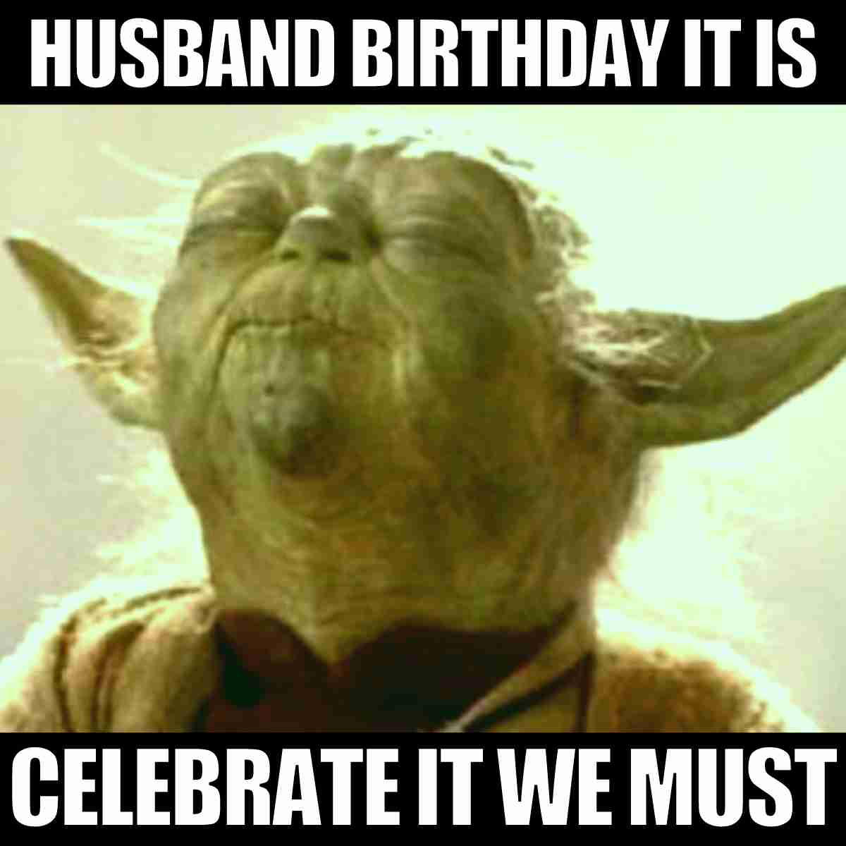Yoda birthday meme for husband with the caption Husband birthday it is, celebrate it we must