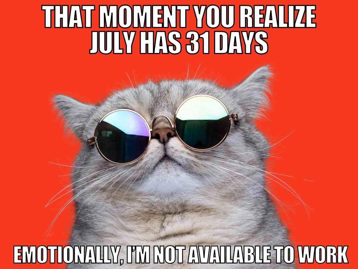 Cat wearing sunglasses with a July work meme captioned "That moment you realize July has 31 days, emotionally I'm not available to work"