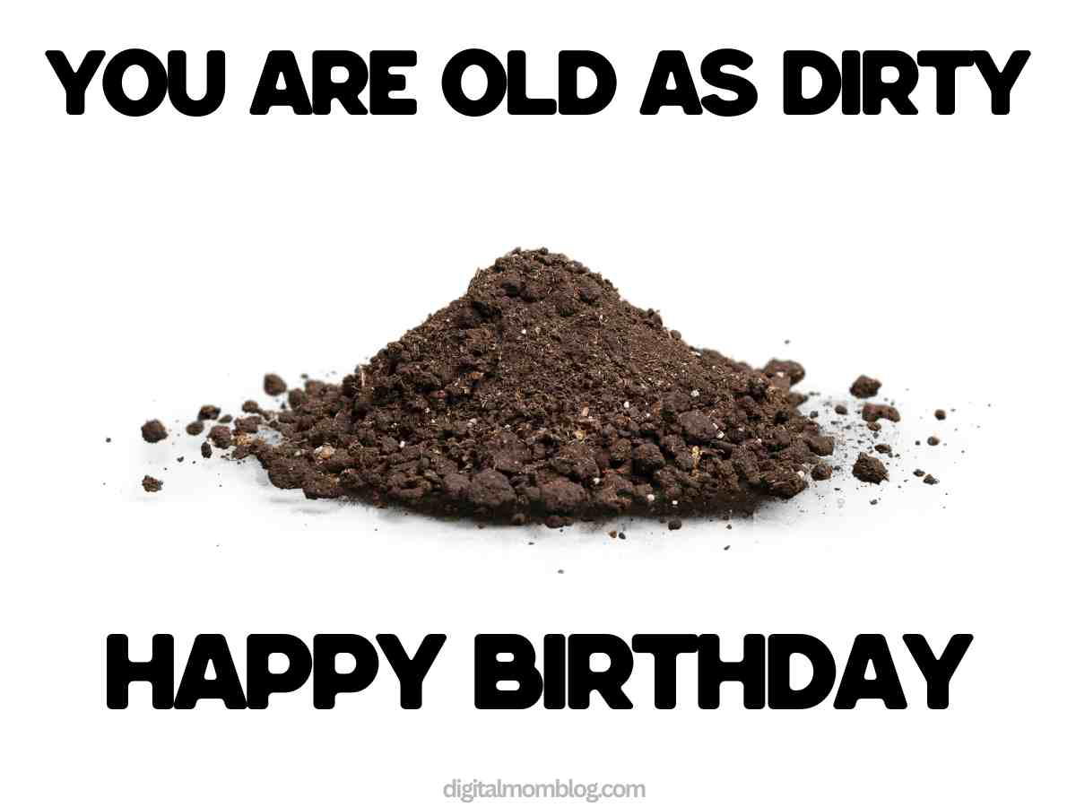 happy birthday meme A humorous birthday old as dirt meme featuring a pile of dirt