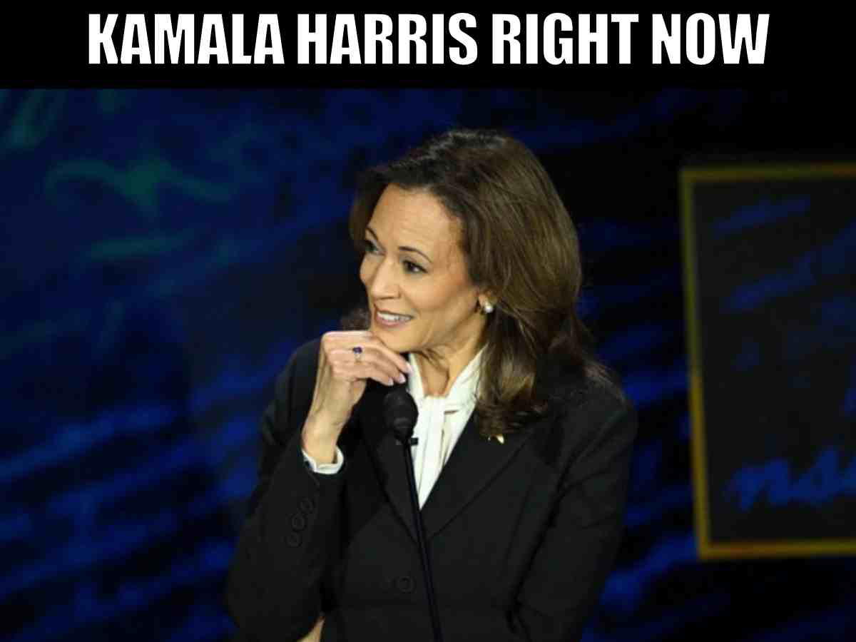 trump vs elon musk kamala harris meme A Kamala Harris meme about the Trump vs Elon Musk meme and their falling out