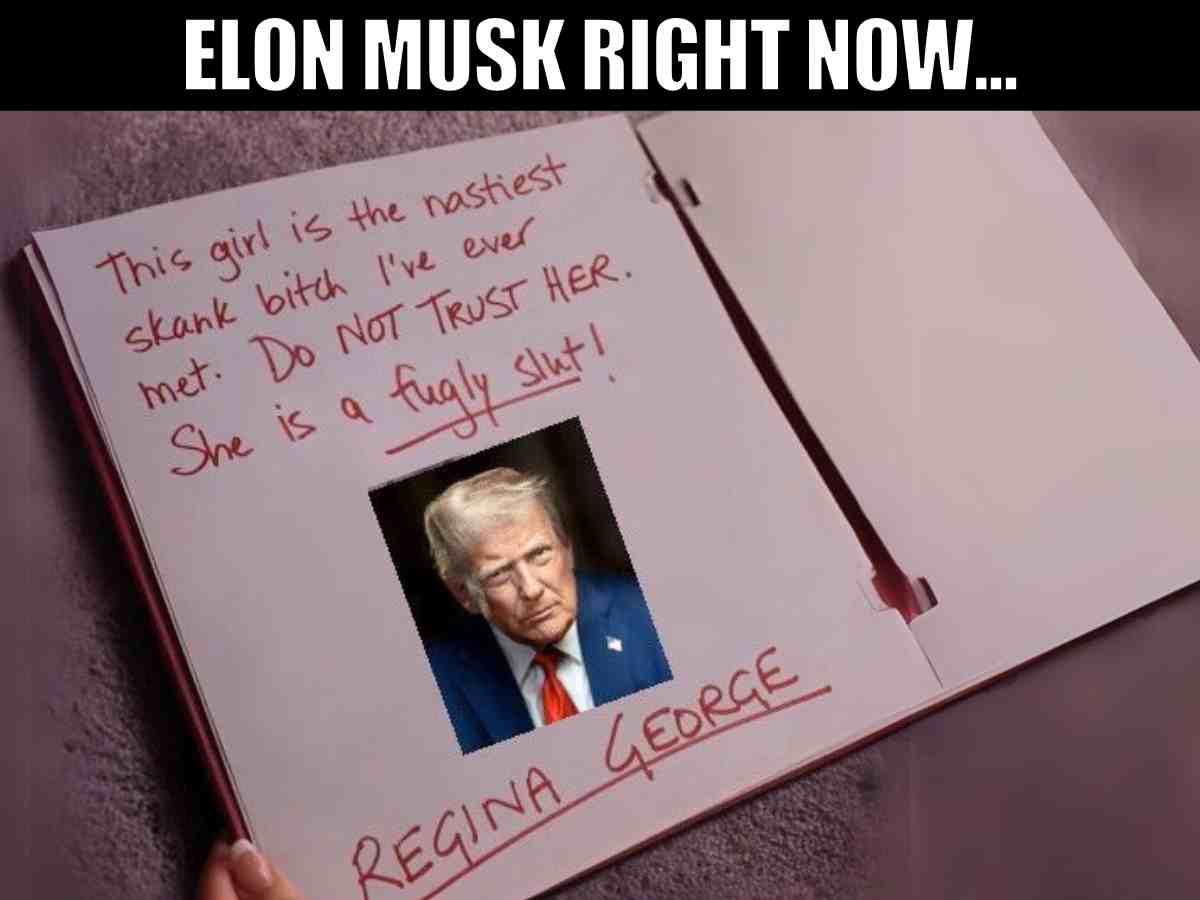 trump vs elon musk regina george meme A hilarious meme featuring a notebook with handwritten text criticizing someone, labeled as "Regina George," with a man's photo pasted over the text. The top of the image reads "ELON MUSK RIGHT NOW..." indicating a humorous or satirical intent.